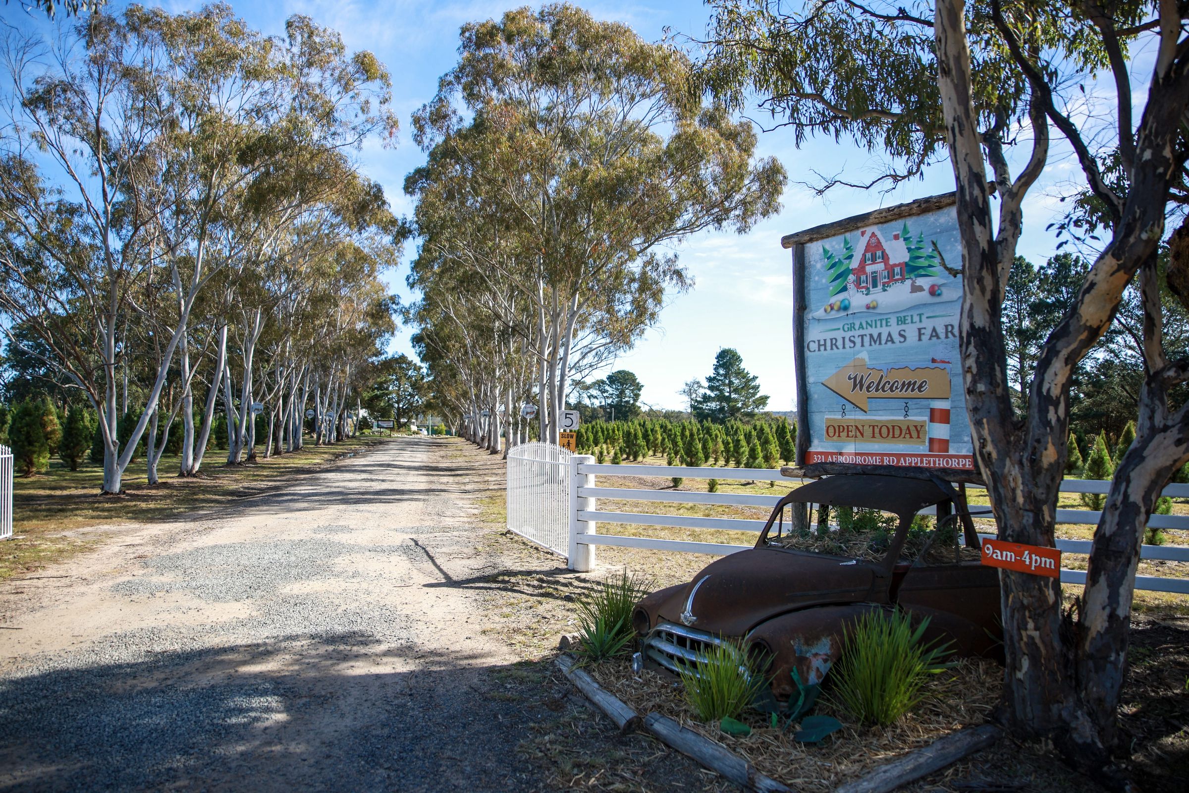 Granite Belt Christmas Farm — Applethorpe