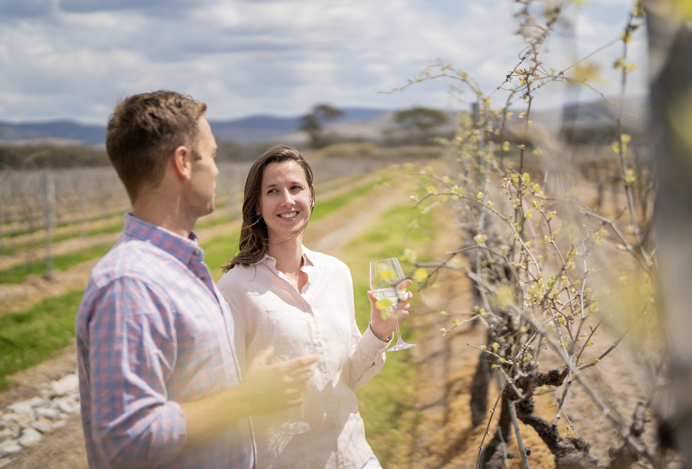Ballandean Estate Wines — Ballandean