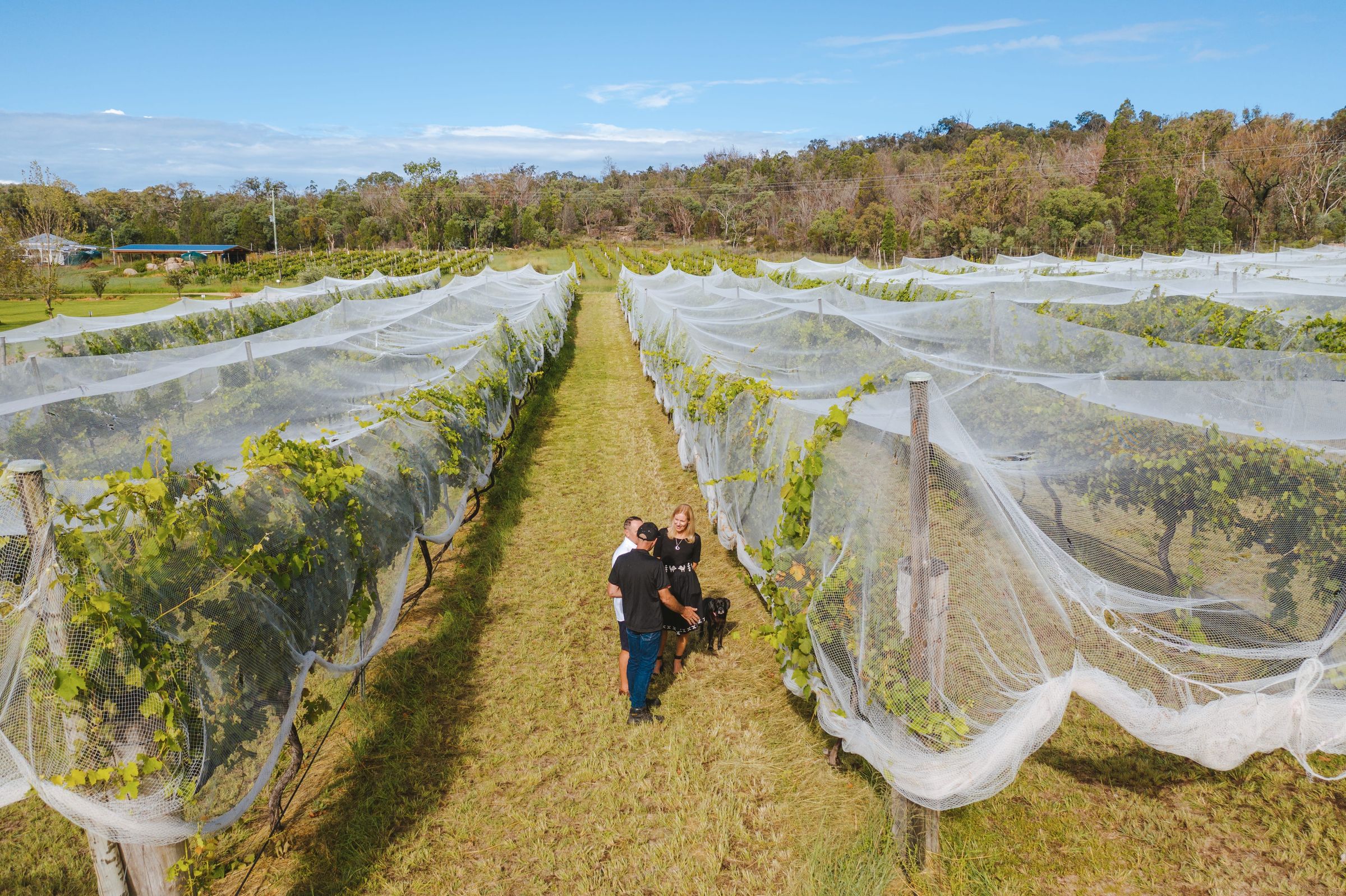 Hidden Creek Winery Café — Granite Belt
