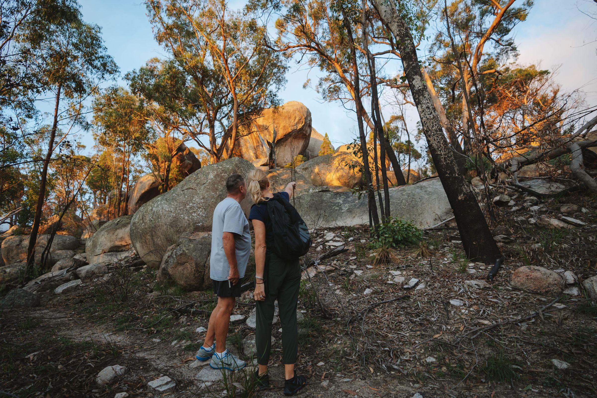 Girraween National Park — Girraween National Park