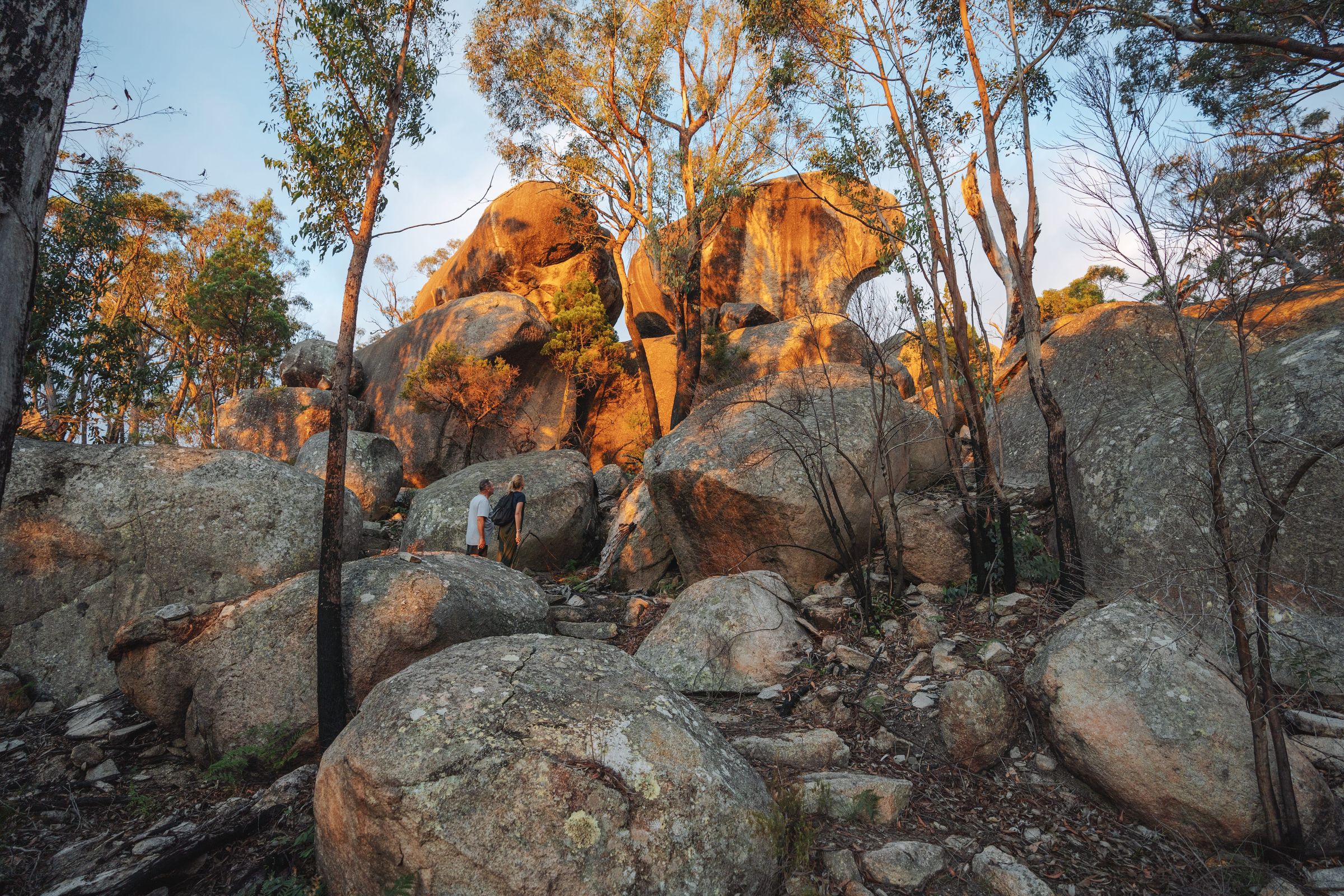 Girraween National Park — Girraween National Park